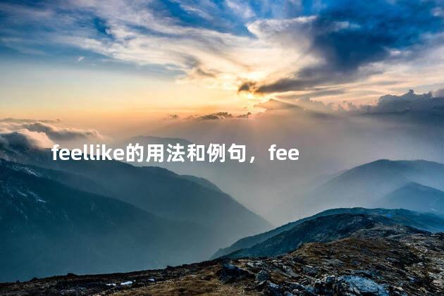 feellike的用法和例句，feel like 的用法